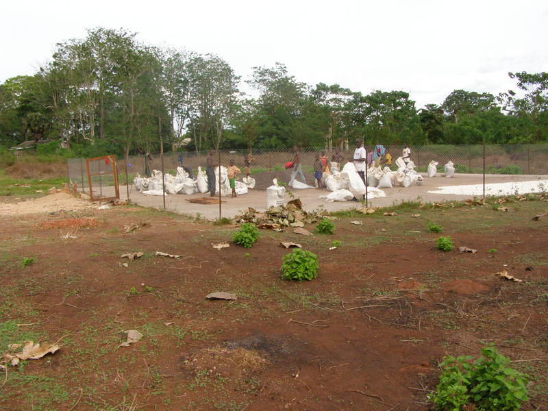 img-programme-de-soutien-au-comite-de-developpement-communal-de-mbata-aires-sechage-manioc