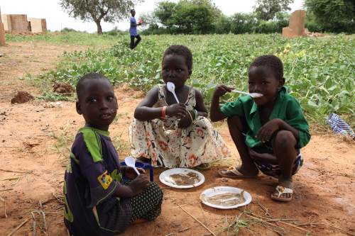 img-projet-sante-de-base-et-lutte-contre-la-malnutrition