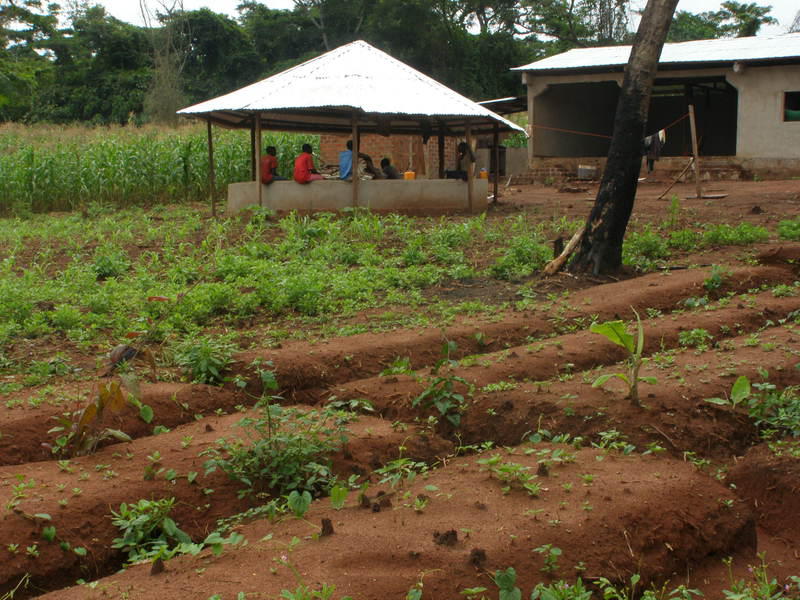 img-projet-kizito-centre-educatif-agro-pastoral-pour-enfants-des-rues
